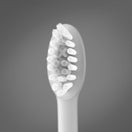 Ordo Sonic+ Toothbrush & 4x Brush Head Bundle - White/Silver