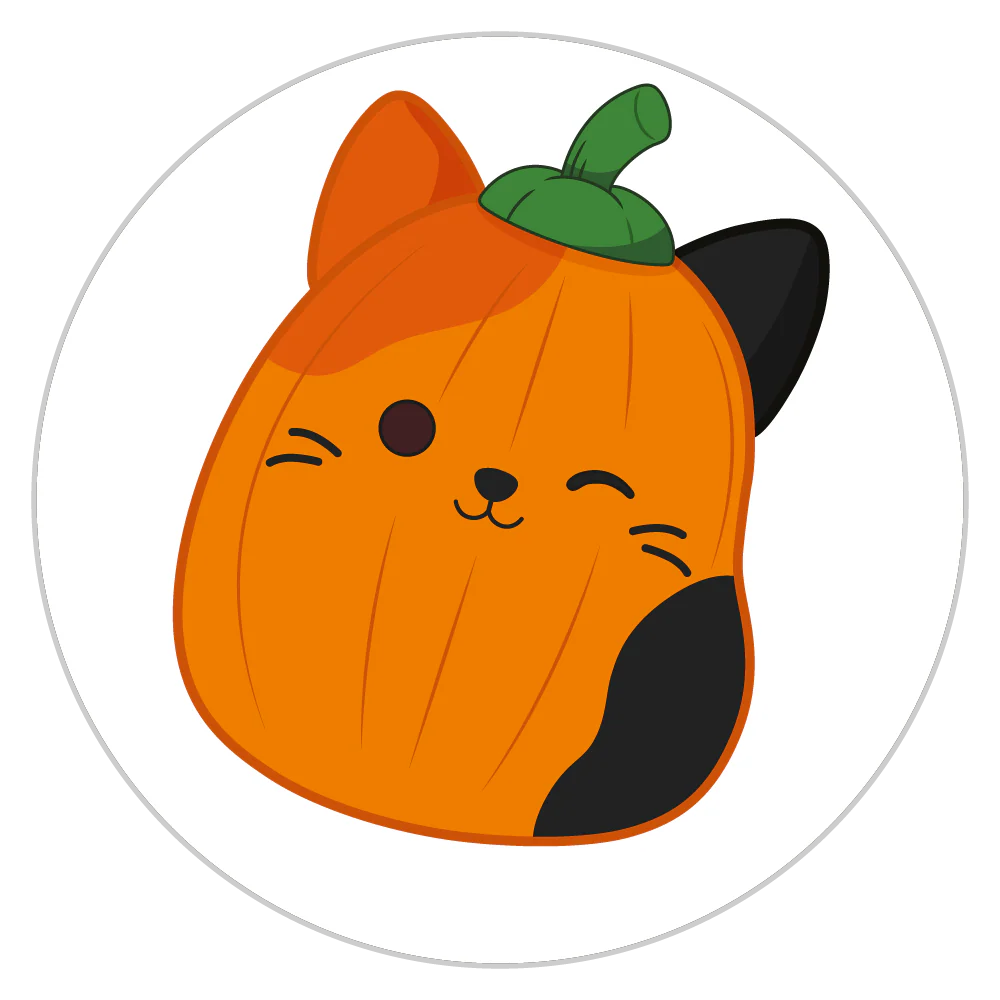 Pumpkin Cam selected