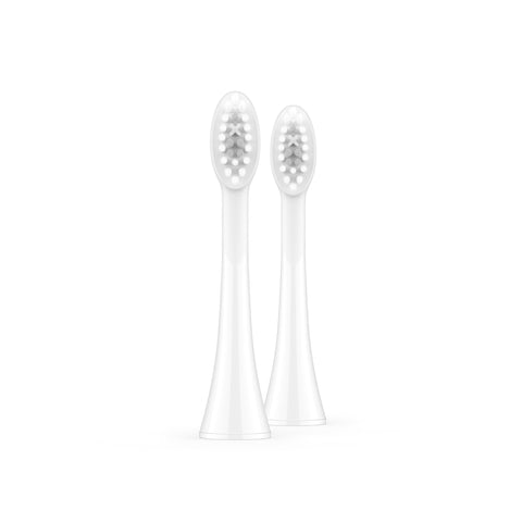 Ordo Sonic Brush Head White | Snow 2x
