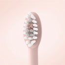 Ordo Sonic Brush Head Rose Gold | Petal 4x