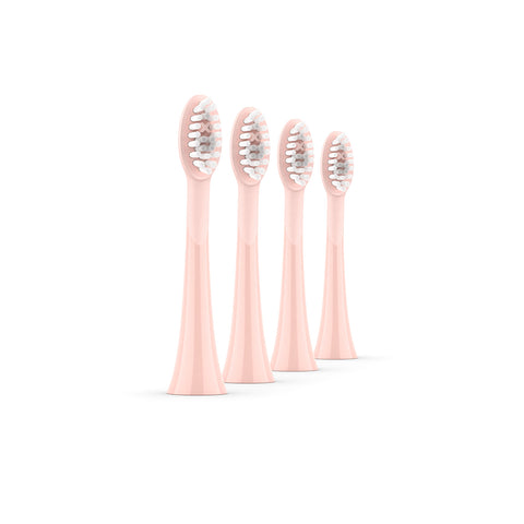 Ordo Sonic+ Toothbrush & 4x Brush Head Bundle - Rose Gold