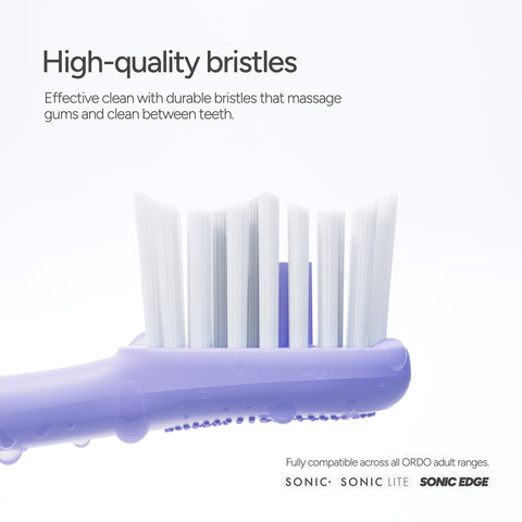 Ordo Sonic Brush Head Pearl Violet | Lavender 4x