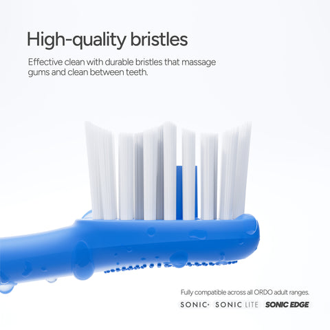 Ordo Sonic Brush Head Arctic Blue | Ocean 2x