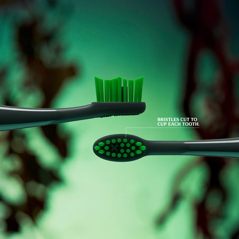 Ordo Sonic Lite Electric Toothbrush Bundle - Wicked - Elphaba Thropp