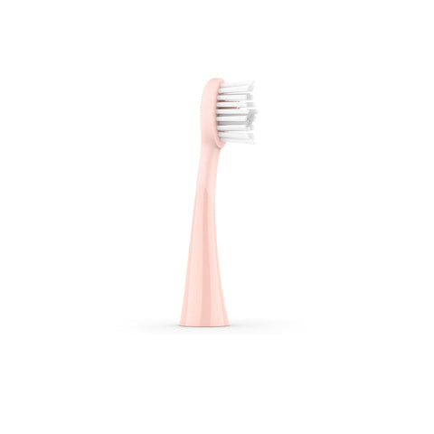 Ordo Sonic+ Toothbrush & 2x Brush Head Bundle - Rose Gold