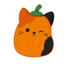 Pumpkin Cam