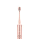 Ordo Sonic+ Toothbrush & 2x Brush Head Bundle - Rose Gold