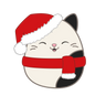 Christmas Cam